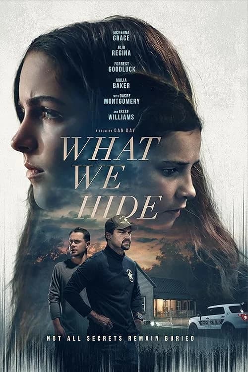 What We Hide film posteri